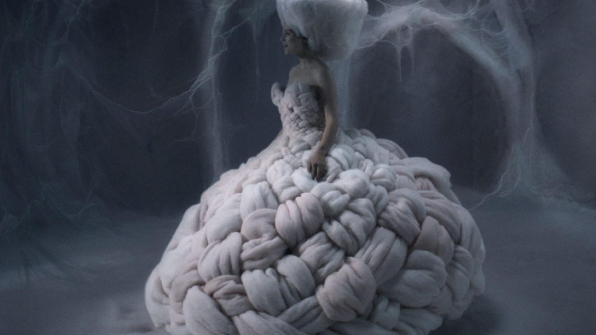 White Swan ⋆ Nederlands Film Festival