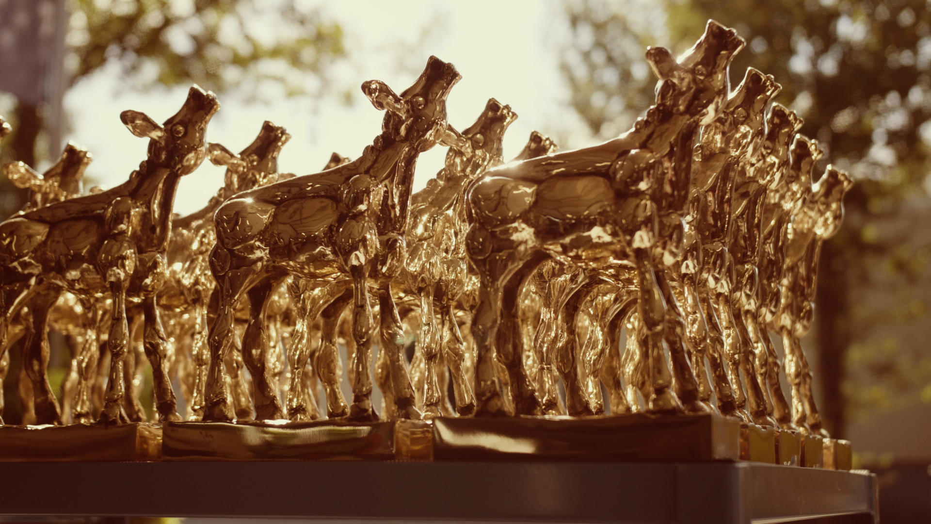 Nederlands Film Festival maakt selecties speelfilms en televisiedrama’s Gouden Kalf Competitie Nederlands Film Festival maakt selecties speelfilms en televisiedrama’s Gouden Kalf Competitie